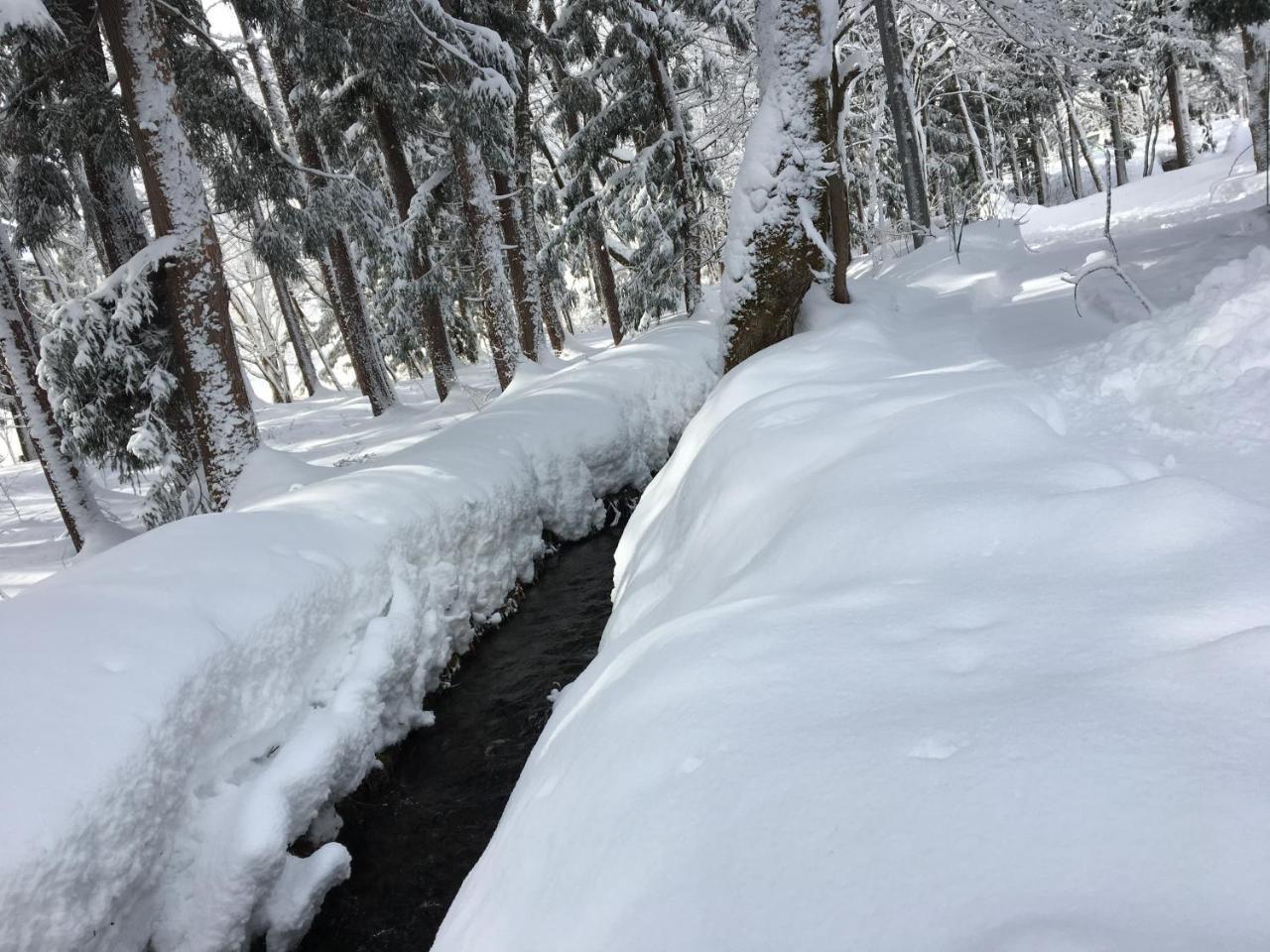 Hakuba Cottage Gram Exterior photo